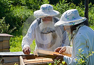 Beekeepers 1