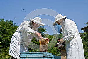 Beekeepers 16