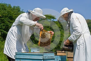 Beekeepers 17