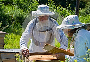Beekeepers 3