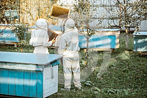 Beekeepers on the apiary