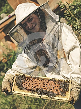 Beekeepers and bees