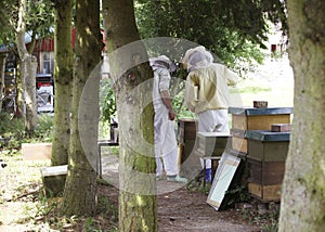 Beekeepers in the Forest