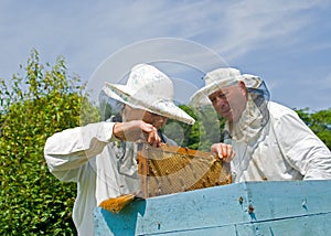 Beekeepers at hive 6