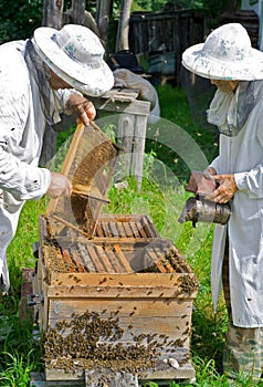 Beekeepers at hive 6