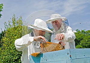 Beekeepers at hive 8