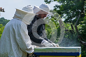 Beekeepers with protective clothes and hats work in apiary on sunny spring day