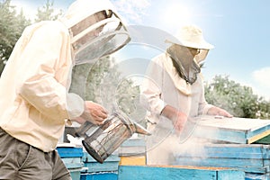 Beekeepers in uniform harvesting honey at apiary