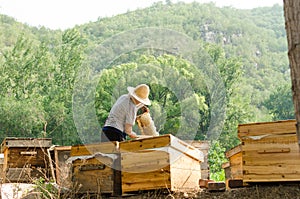 The beekeepers in the work
