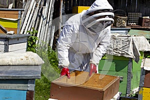 Beekeepers work on apiaries with hives in special protective clothing