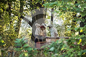 Beekeepers is working with bees and beehives on the apiary. Authentic scene of life in garden