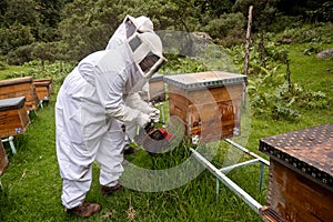 Beekeepers working with bees in forest