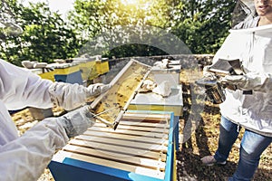 Beekeepers working to collect honey.