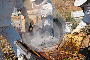 Beekeepers working to collect honey. Organic beekeeping concept.