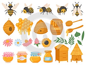 Beekeeping. Apiculture products various honey in glass jars. Honeycomb, beeswax, beehive, flowers and bees organic food