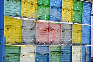 Beekeeping - Beehives