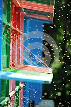 Beekeeping - Beehives