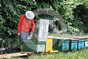 Beekeeping - Beehives