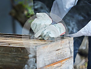 Beekeeping, box frame and beekeeper hands working on honey production farm for honeycomb, organic wax extraction and