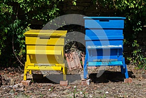 Beekeeping. Colourful hives