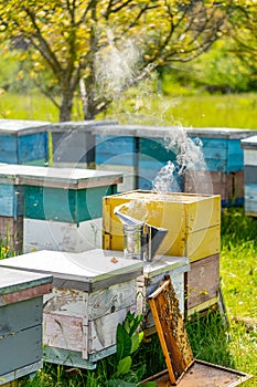 Beekeeping equipment for honeycomb. Farming smoker for beehive.