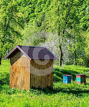 Beekeeping in the garden