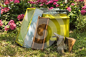 Beekeeping inventory