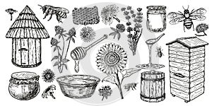 Beekeeping sketch icon set. Honey vintage set with bee beehive, glass jar and spoon, bees, melliferous flowers. Hand