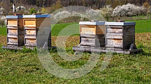 Beekeeping with wooden beeyards