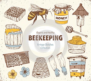 Beekeping Sketches Collection