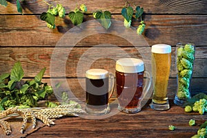 Beer assortment on wooden table in bar or pub decorated on wooden background