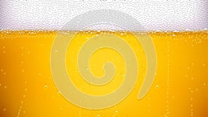 Beer background wide