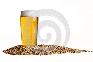 Beer with Barley
