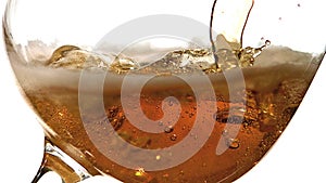 Beer being poured into Glass against White Background