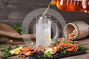 Beer and boiled crabs on a wooden background