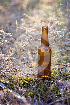 Beer bottle on the ground