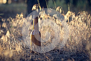 Beer bottle on the ground