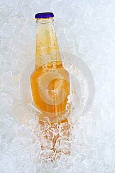 Beer bottle on ice fresh frosted glass