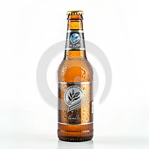 Beer bottle isolated on white background