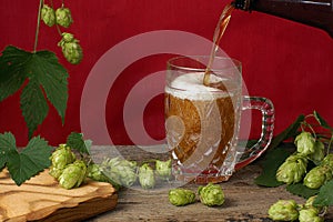 Beer from a bottle is poured into a large glass mug, red background and hop plants nearby