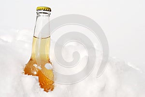 Beer bottle in snow