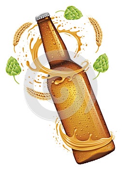 Beer bottle, splash around the bottle, wheat and hop, isolated on white, vector