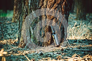 Beer bottle stands on the ground