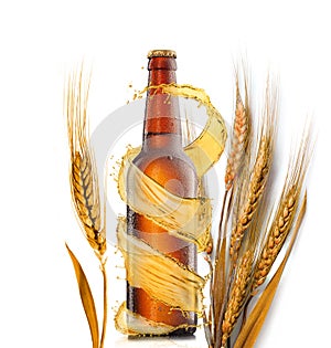 Beer bottle with water drops and wheat ears on a white background.