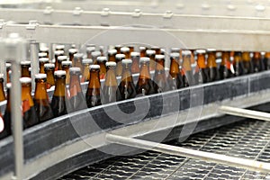 beer bottles on the assembly line in a modern brewery - industrial plant in the food industry