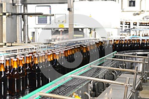 beer bottles on the assembly line in a modern brewery - industrial plant in the food industry