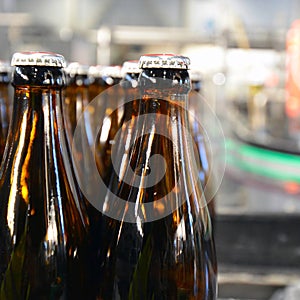 beer bottles on the assembly line in a modern brewery - industrial plant in the food industry