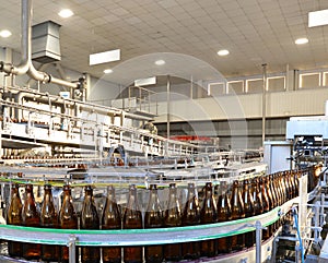 beer bottles on the assembly line in a modern brewery - industrial plant in the food industry