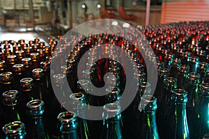 Beer bottles in a brewery