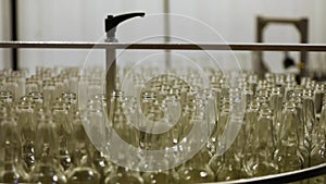 Beer bottles in a brewery bottling line